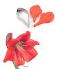 FK007 Kit venatore petalo Amaryllis-3